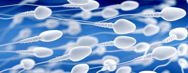 Донорство спермы и ЭКО